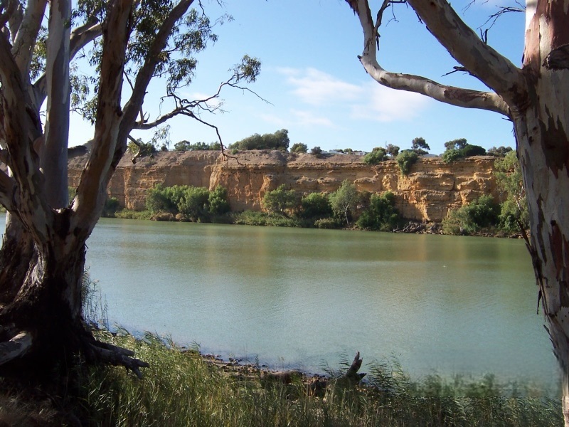  ---Murray River--- Picture not available.